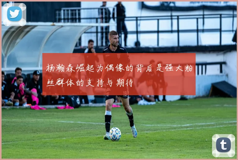 杨瀚森崛起为偶像的背后是强大粉丝群体的支持与期待